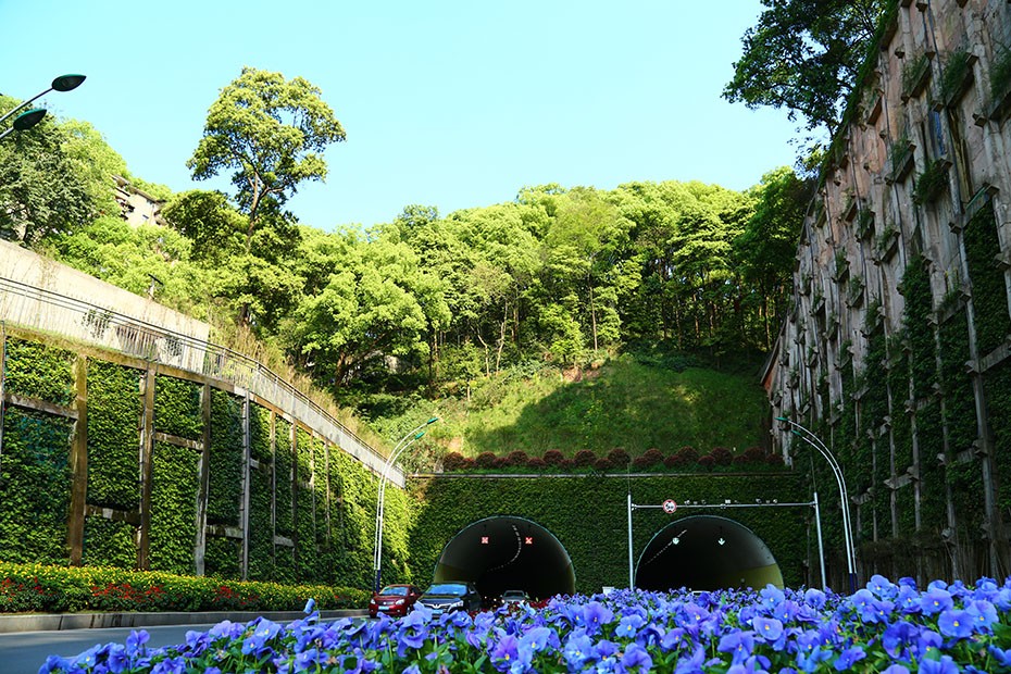 k1体育园林绿化维护