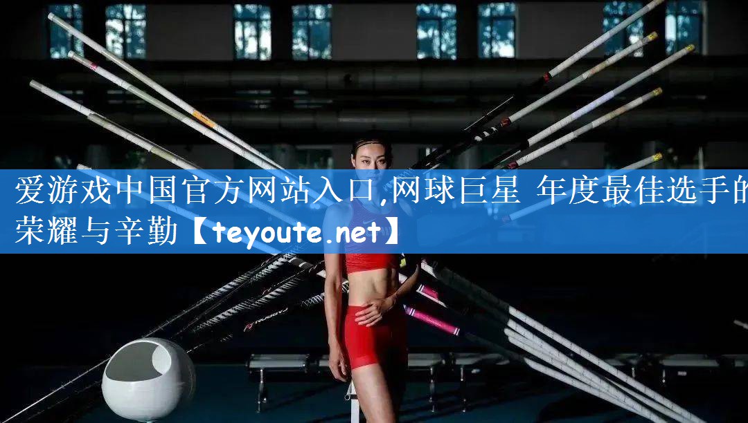 爱游戏中国官方网站入口,网球巨星 年度最佳选手的荣耀与辛勤