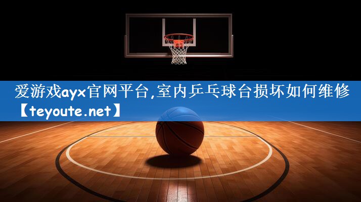 爱游戏ayx官网平台,室内乒乓球台损坏如何维修