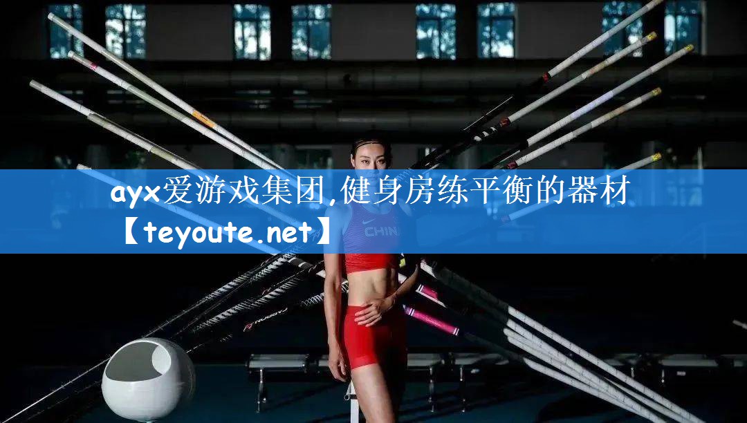 健身房练平衡的器材