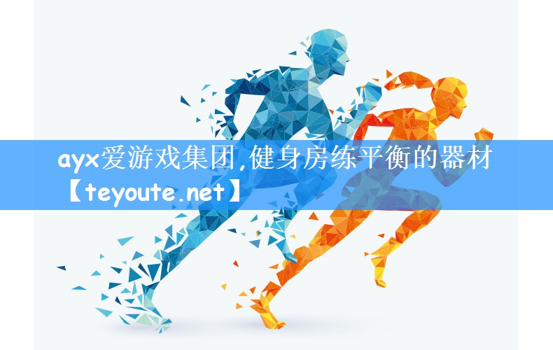 健身房练平衡的器材