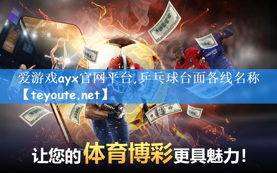 乒乓球台面各线名称