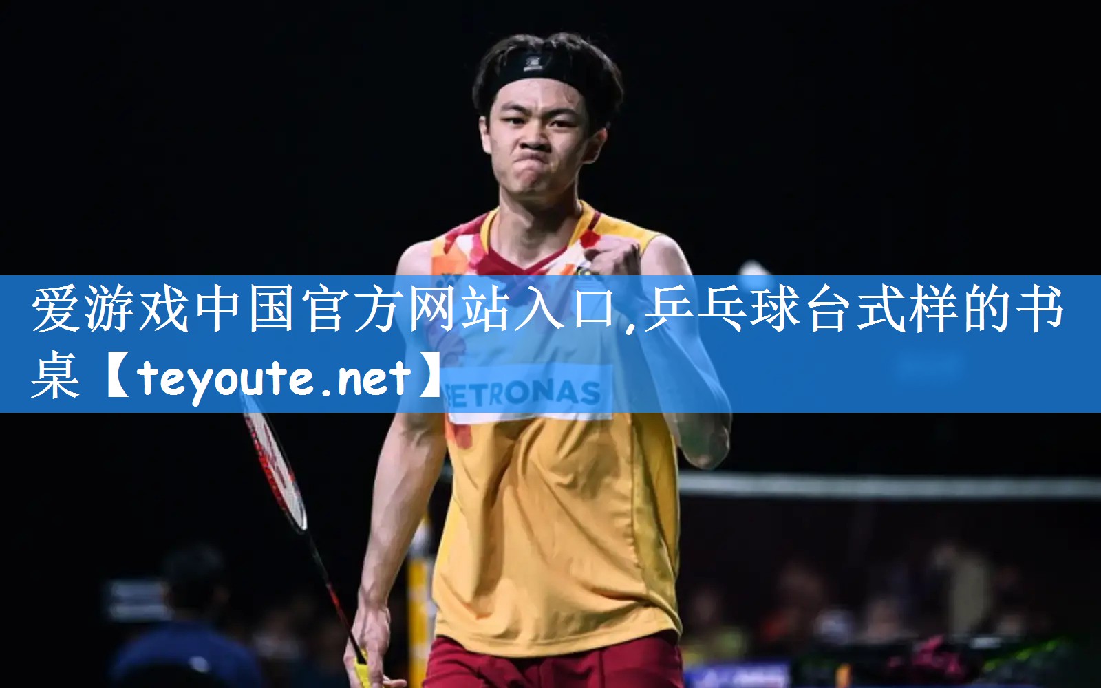 乒乓球台式样的书桌