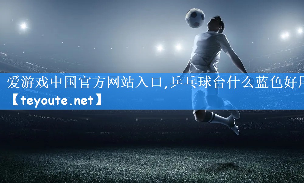 乒乓球台什么蓝色好用